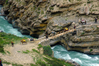 Lama Tenzin Dolpo Trek7